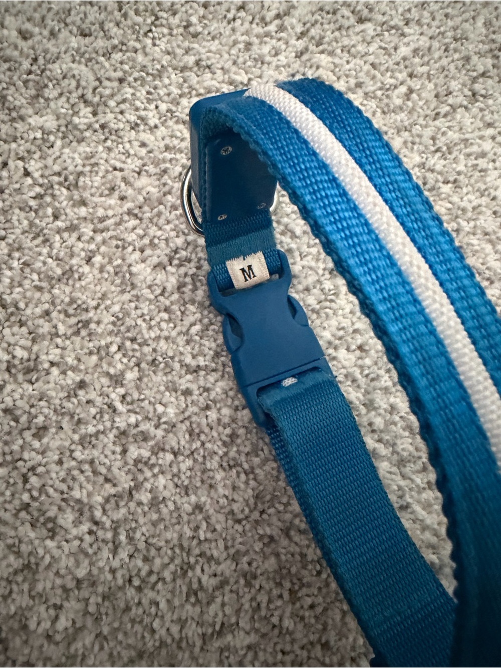 LED Blue Light Dog Collar bundle - Picture 4 of 10
